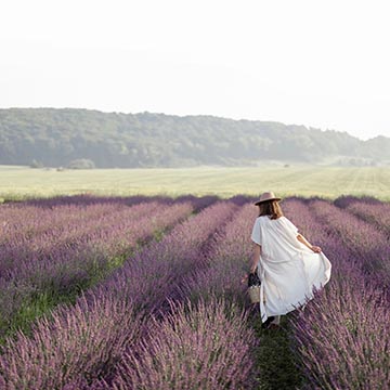 Wander without rush