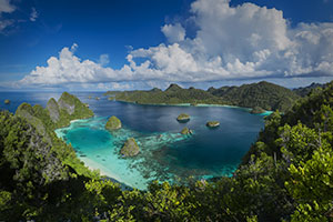 Papua New Guinea