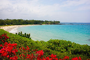 Big Island of Hawaii