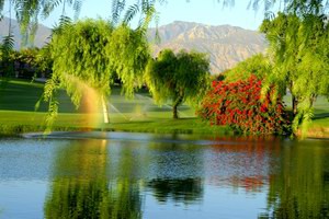 Greater Palm Springs